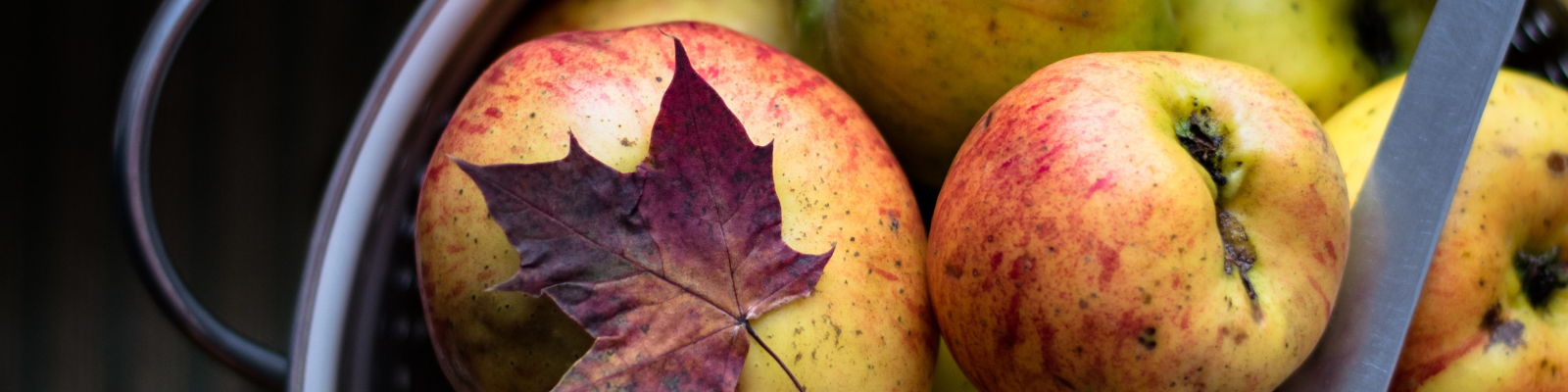 Alimentazione per l’autunno!