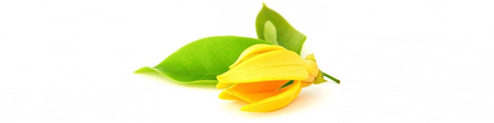 Doposole per capelli