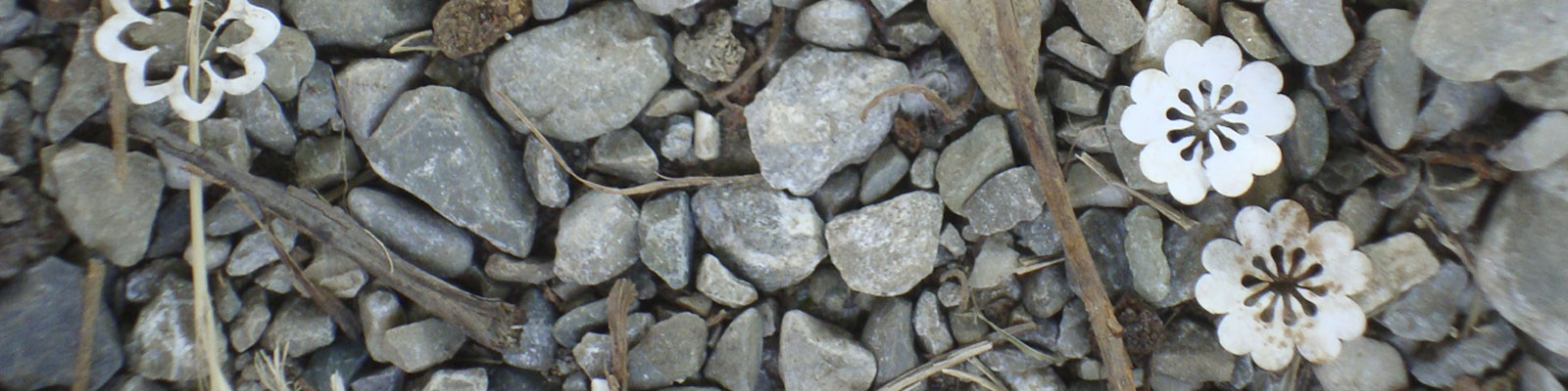 Oligoelementi