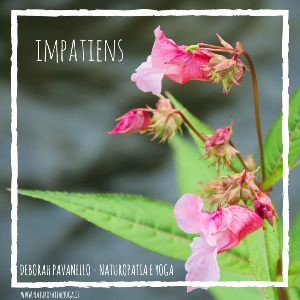 Impatiens rid