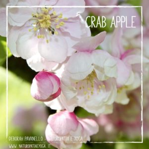 fiori-di-bach-crab-apple