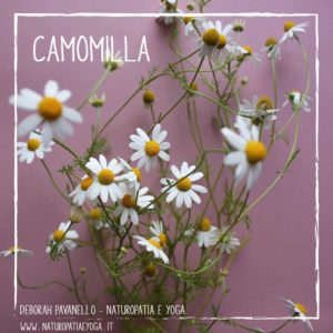 infusi-camomilla