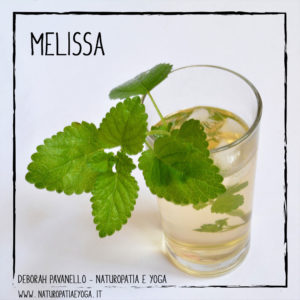 infusi-melissa