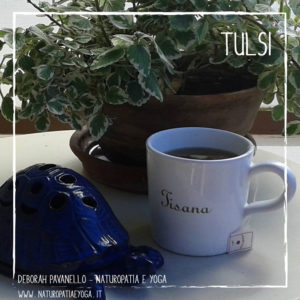 infusi-tulsi