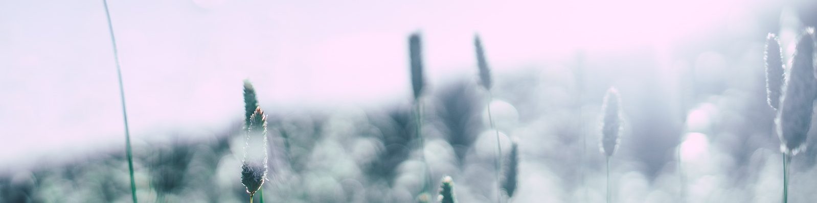 Depurarsi per evitare le allergie
