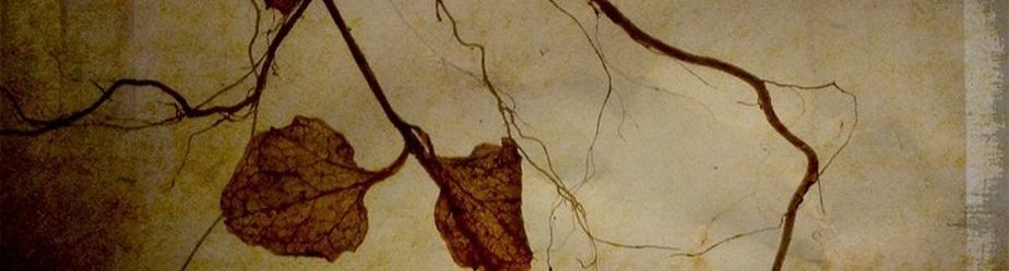 La tua storia non è il tuo destino?
