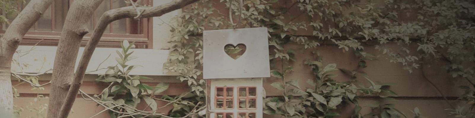 Dal cuore delle cose: mente neutrale e saggezza