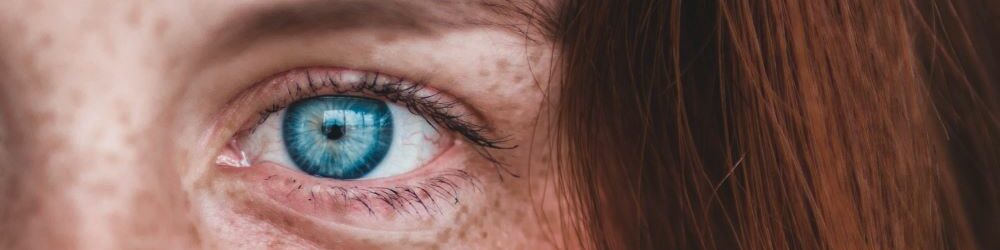 Iridologia – nella parte il tutto